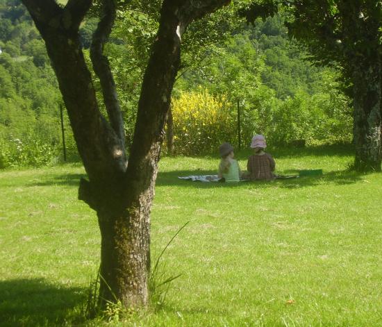 Conversation à l'ombre